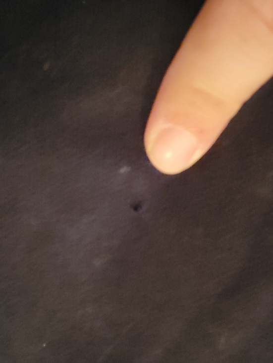 adidas Black Chicago Bulls Sweatshirt with Red Trim and Brown Bull Patch - Picture 3 of 4